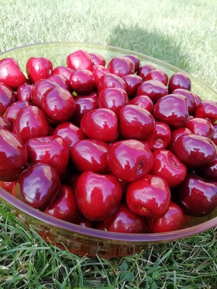 Čerešne