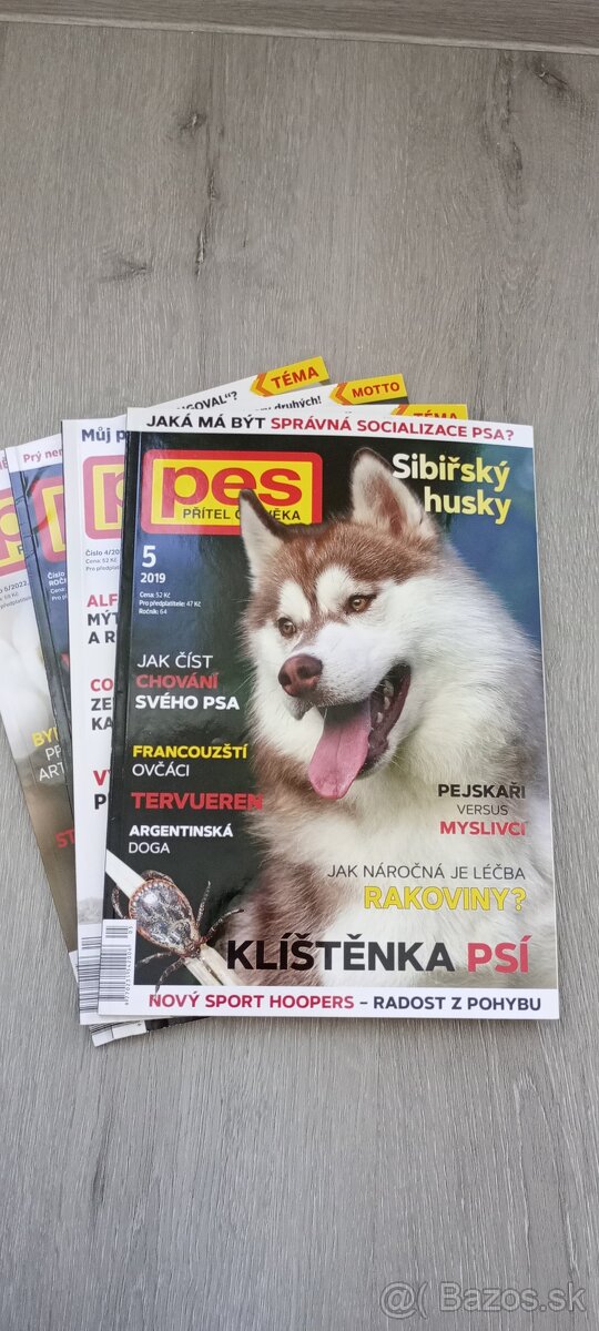 Pes přítel člověka