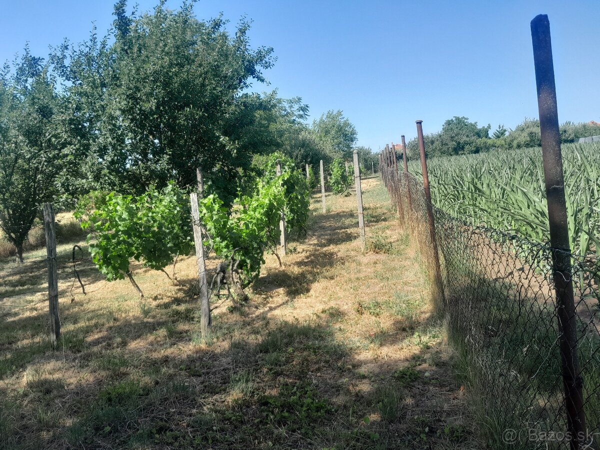 Pozemok(zahrada]