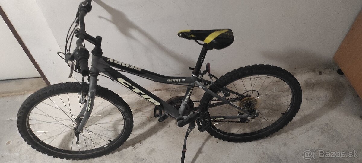 Bicykel CTM 25