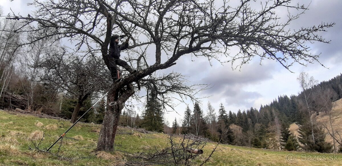 Aboristické a ovocinárske služby