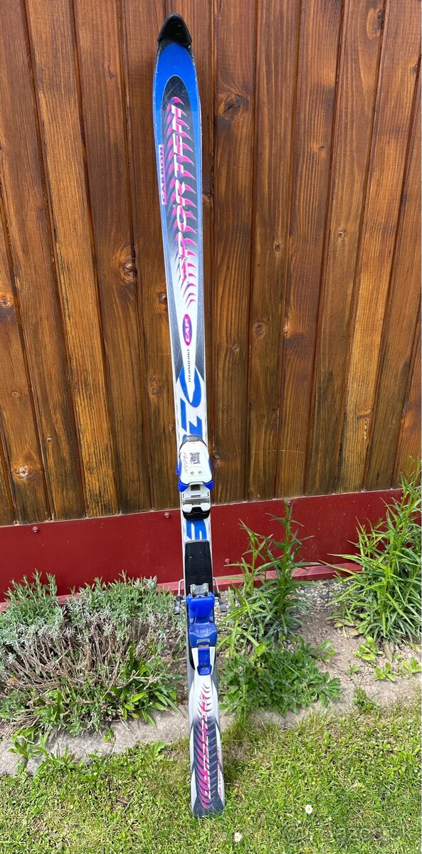 Darujem lyže – výška 170 cm