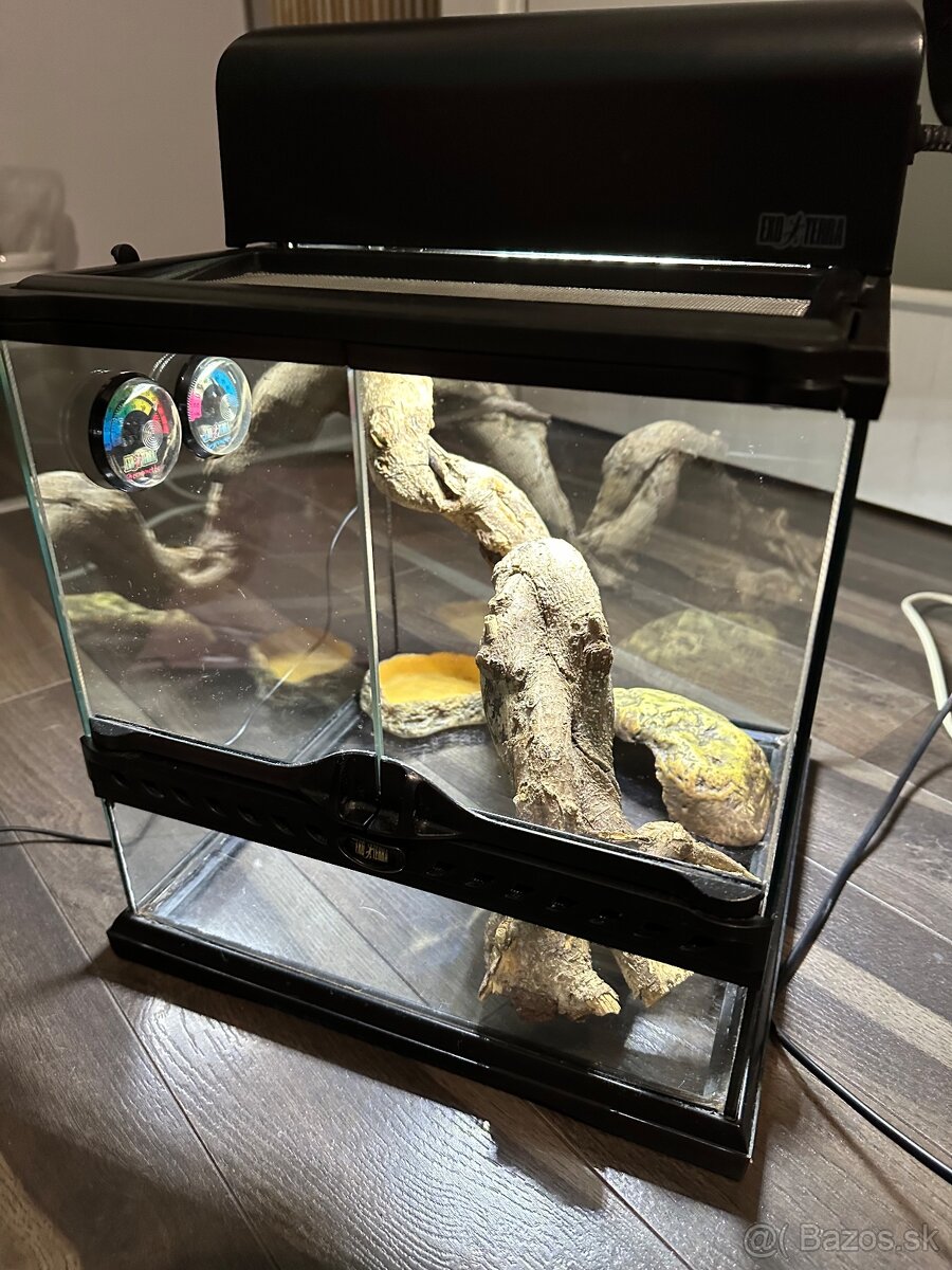 Terárium exo terra