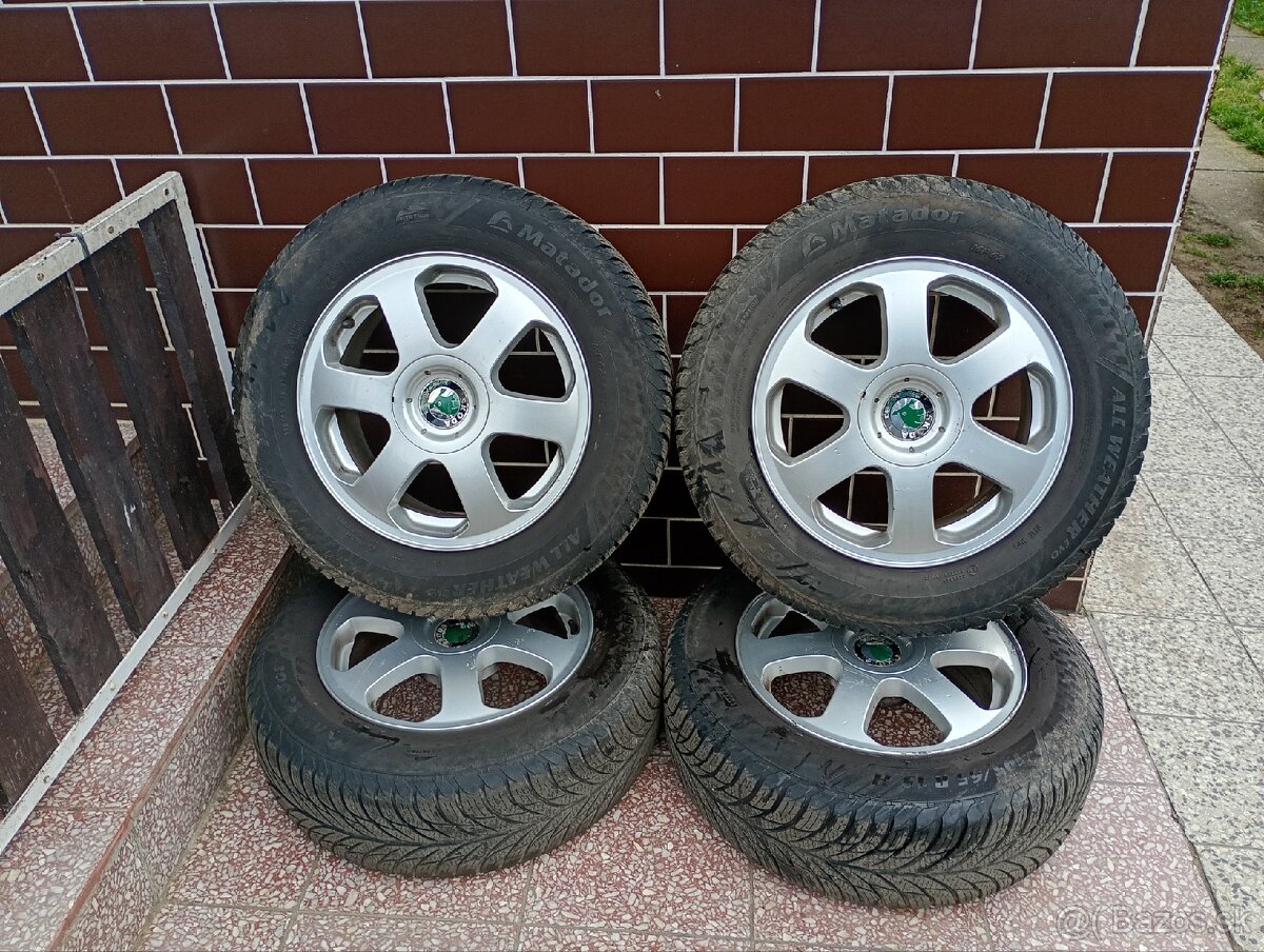 5x100 R15 celoročne