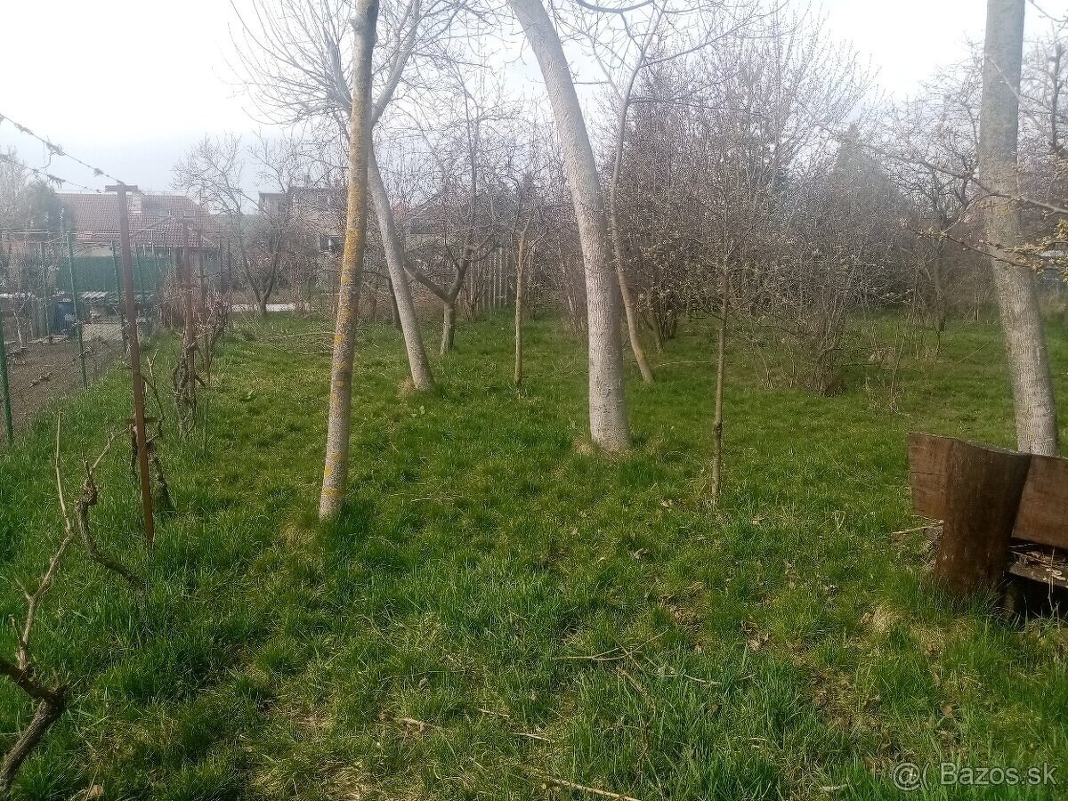 Predám pozemok v obci Zbehy
