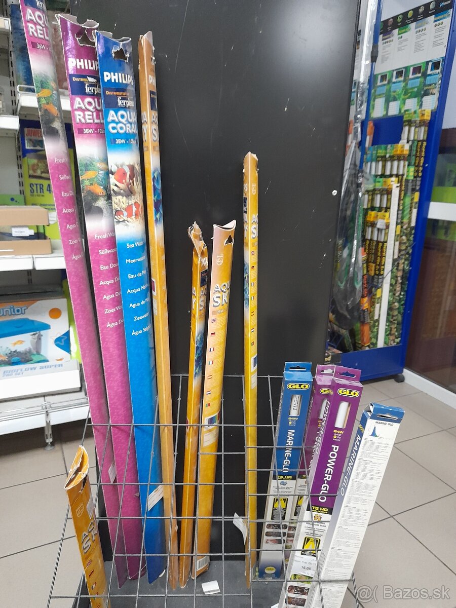 Neonky-trubice do akvária predaj