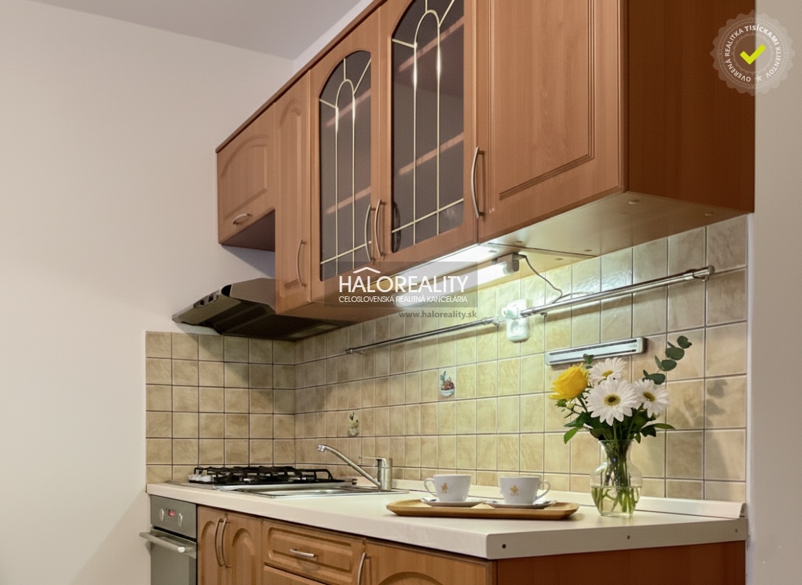 1 izbovy byt na prenajom