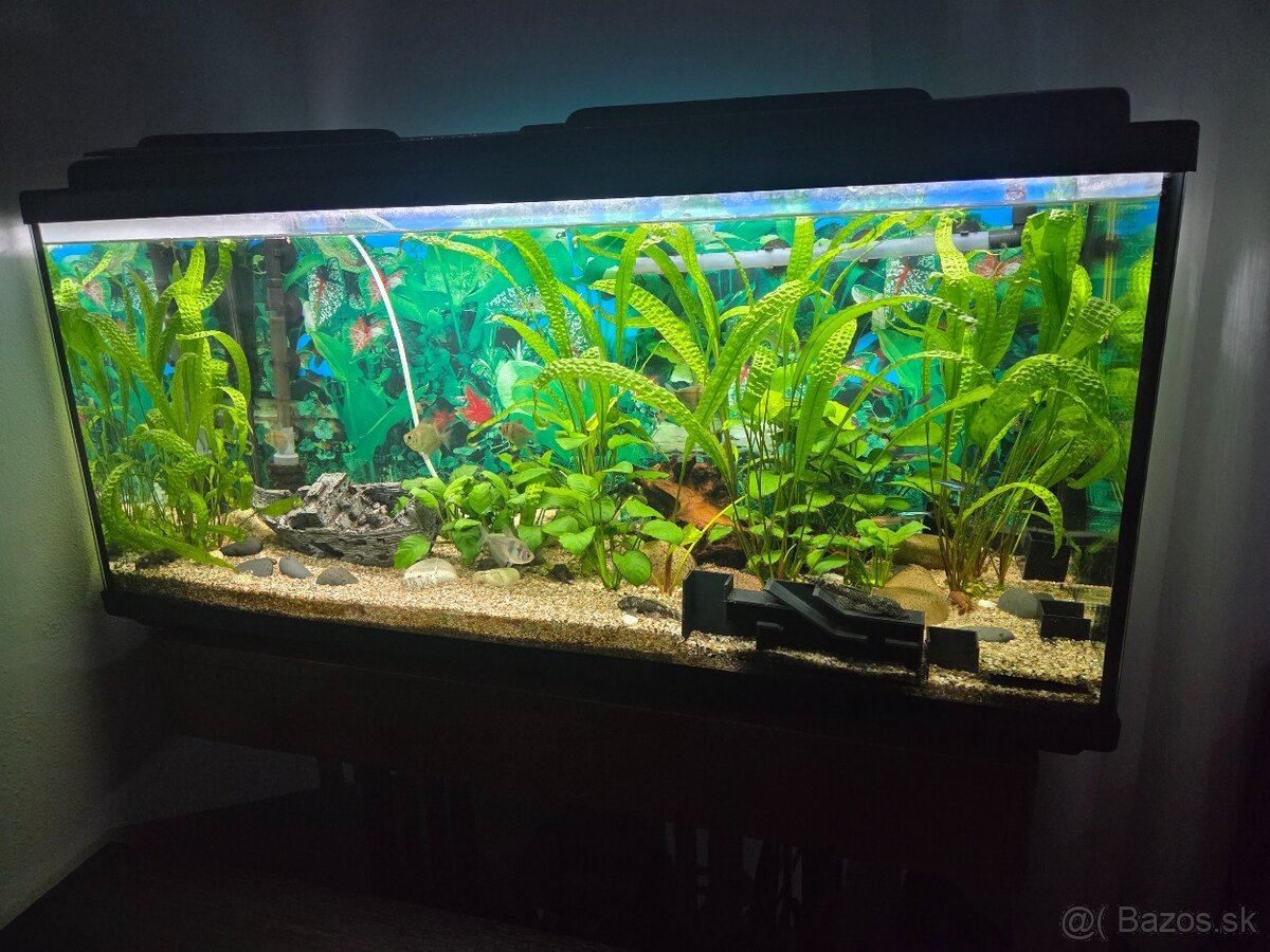 Akvarium 180 L