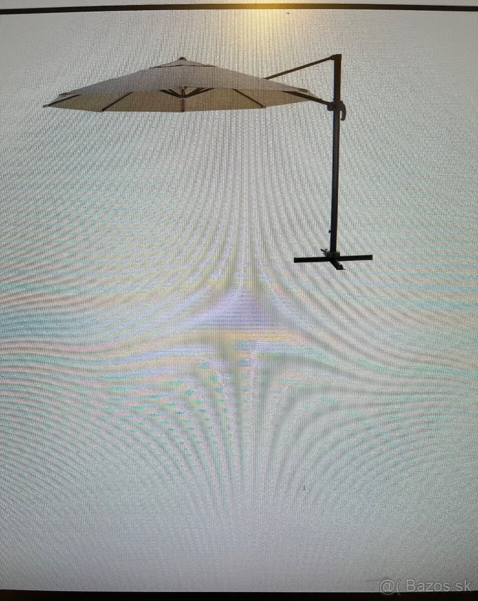 Slnecnik