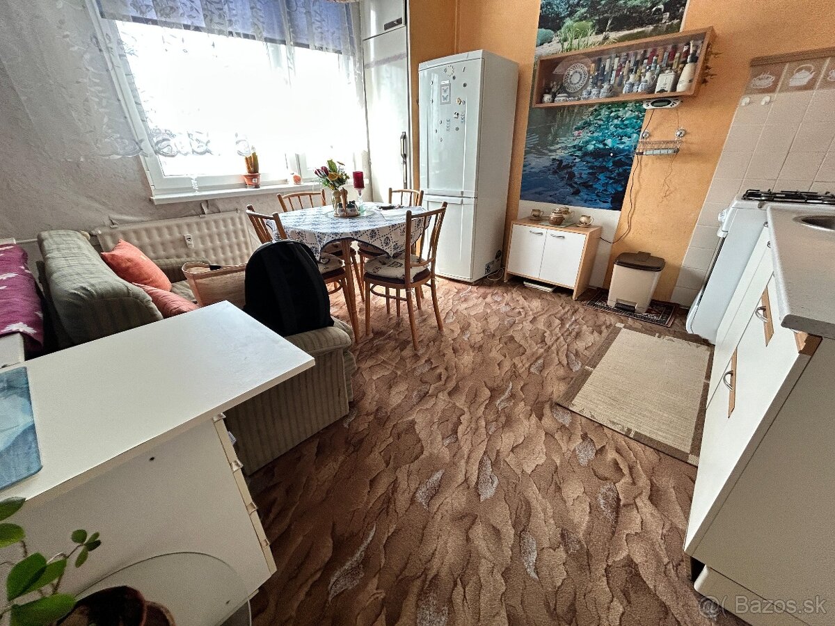 Ponúkam Vám na predaj 1 izbový byt pri Sanate v Leviciach.