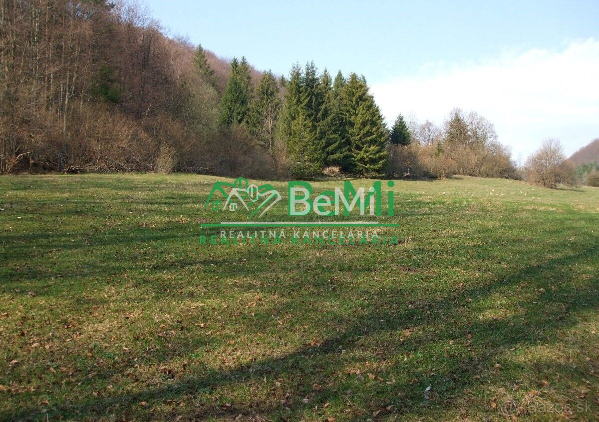 Pozemok v obci Lysica, okres Žilina 48338m2,  075-14-PEMOa