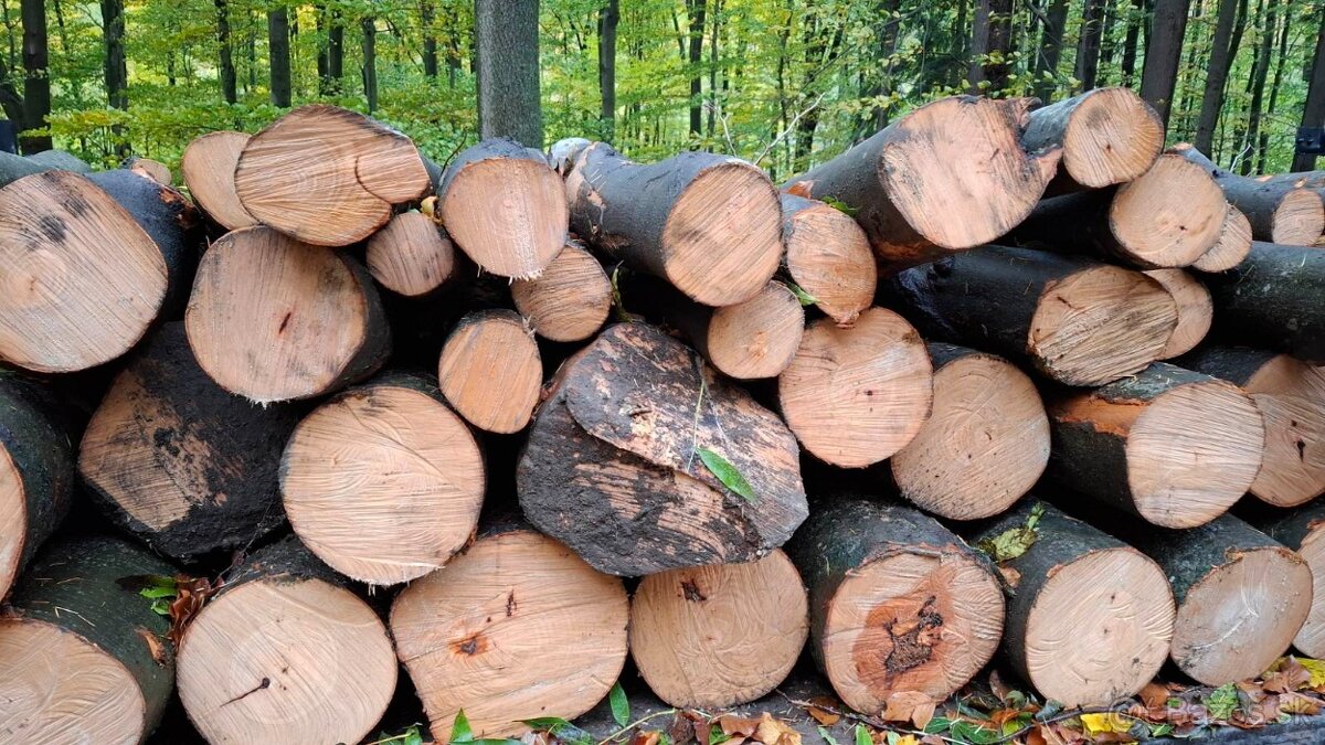 Predám palivové drevo