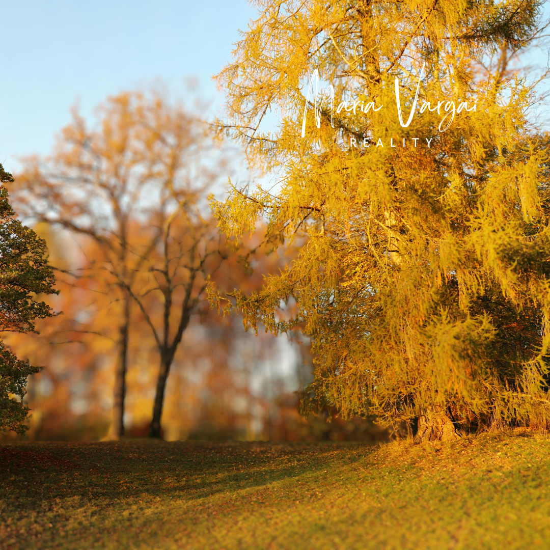 Pozemok na predaj vhodný na výstavbu rekreačného domu, chalu