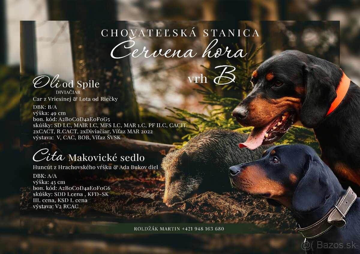 Slovensky Kopov s PP
