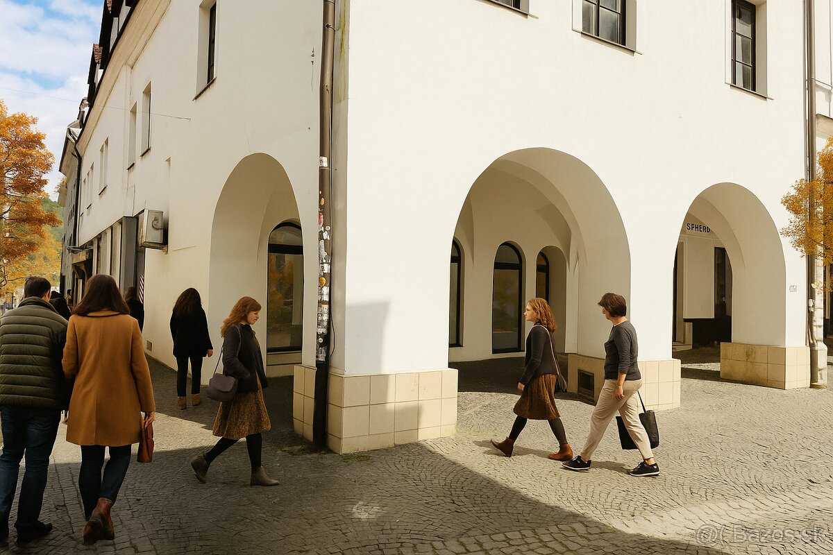 Obchodné priestory na prenájom 20 m², centrum Žiliny, Ma