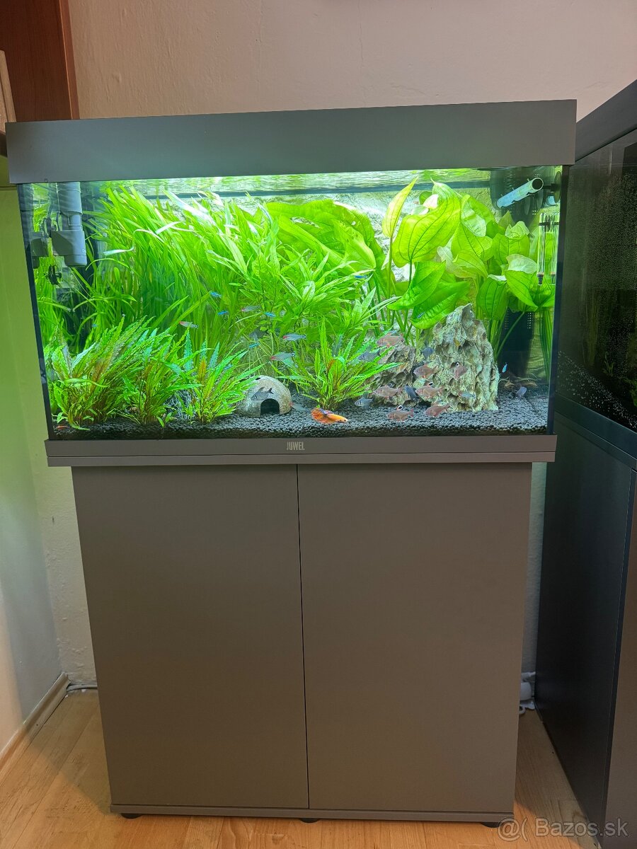 Akváriovy set Juwel Rio 125