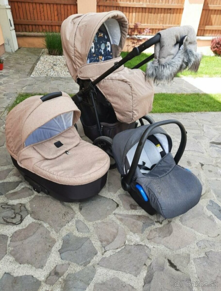 Kočík Camarelo