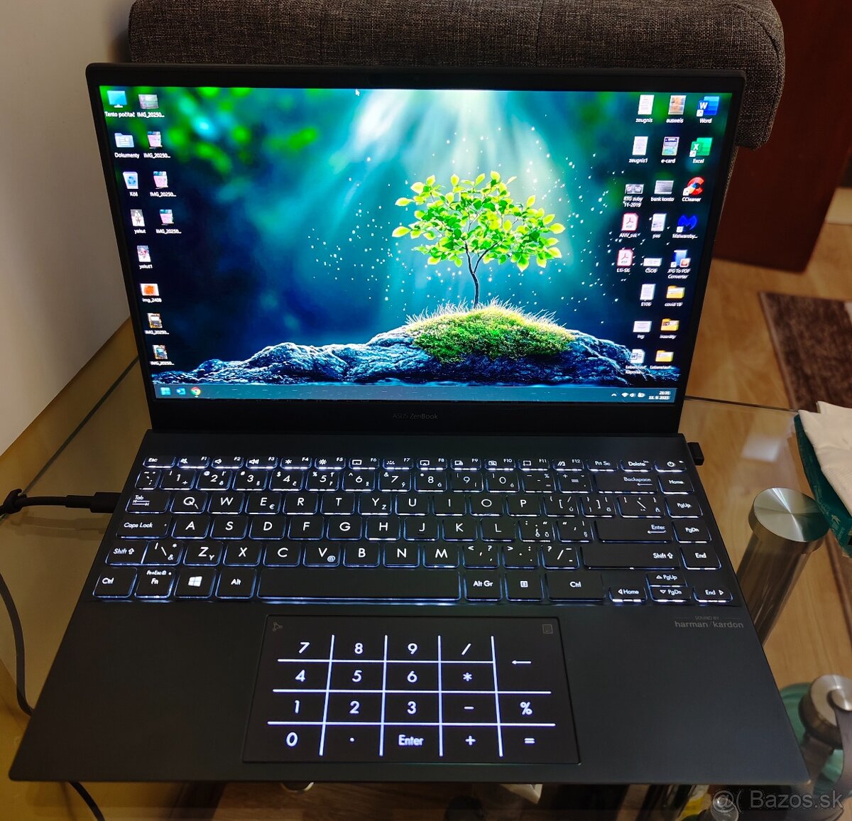 asus zenbook 13" oled