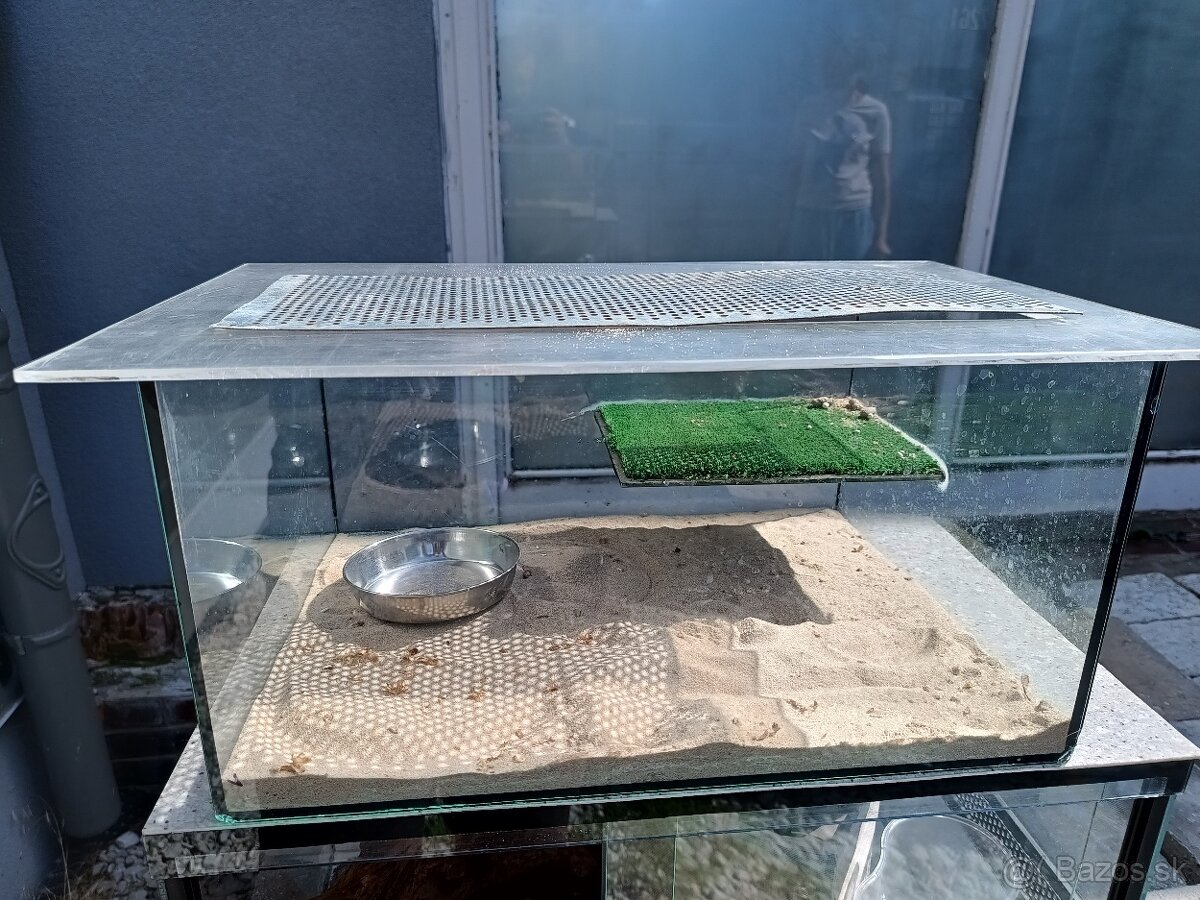 Terárium 40x30x20