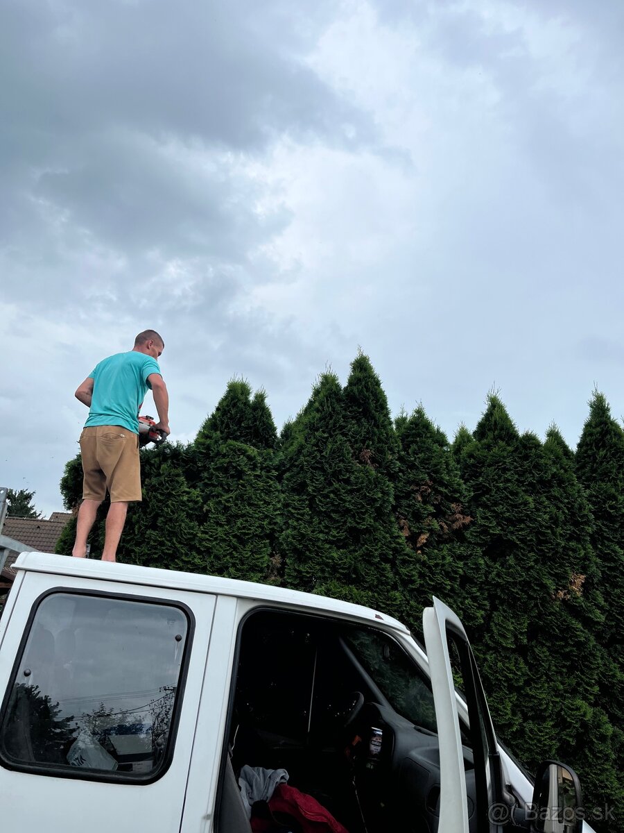 Predam Ford transit