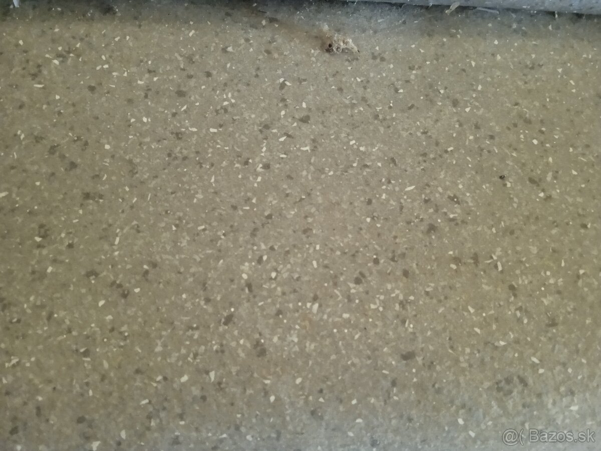 Predám linoleum, PVC podlaha, gumolit