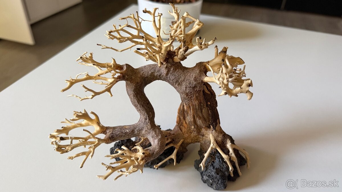 Bonsai Driftwood