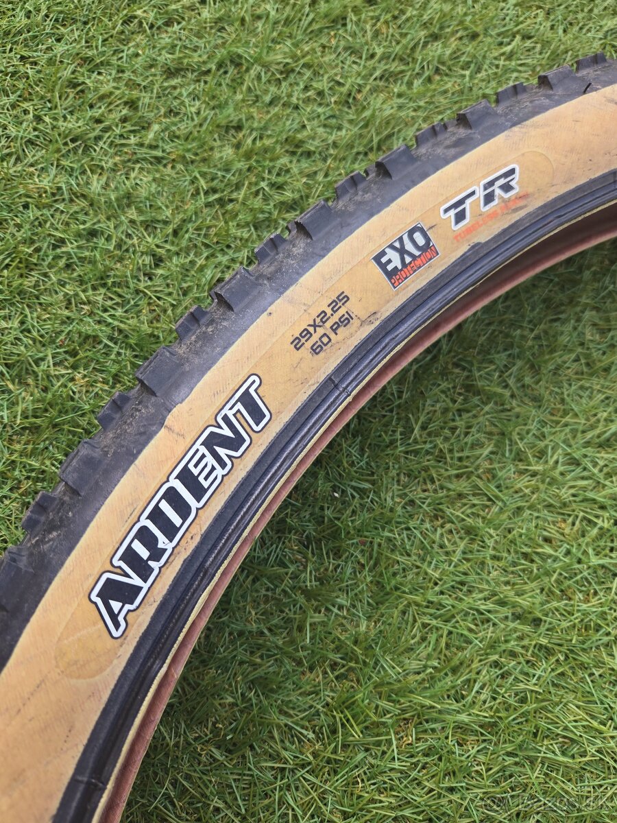 Maxxis Ardent