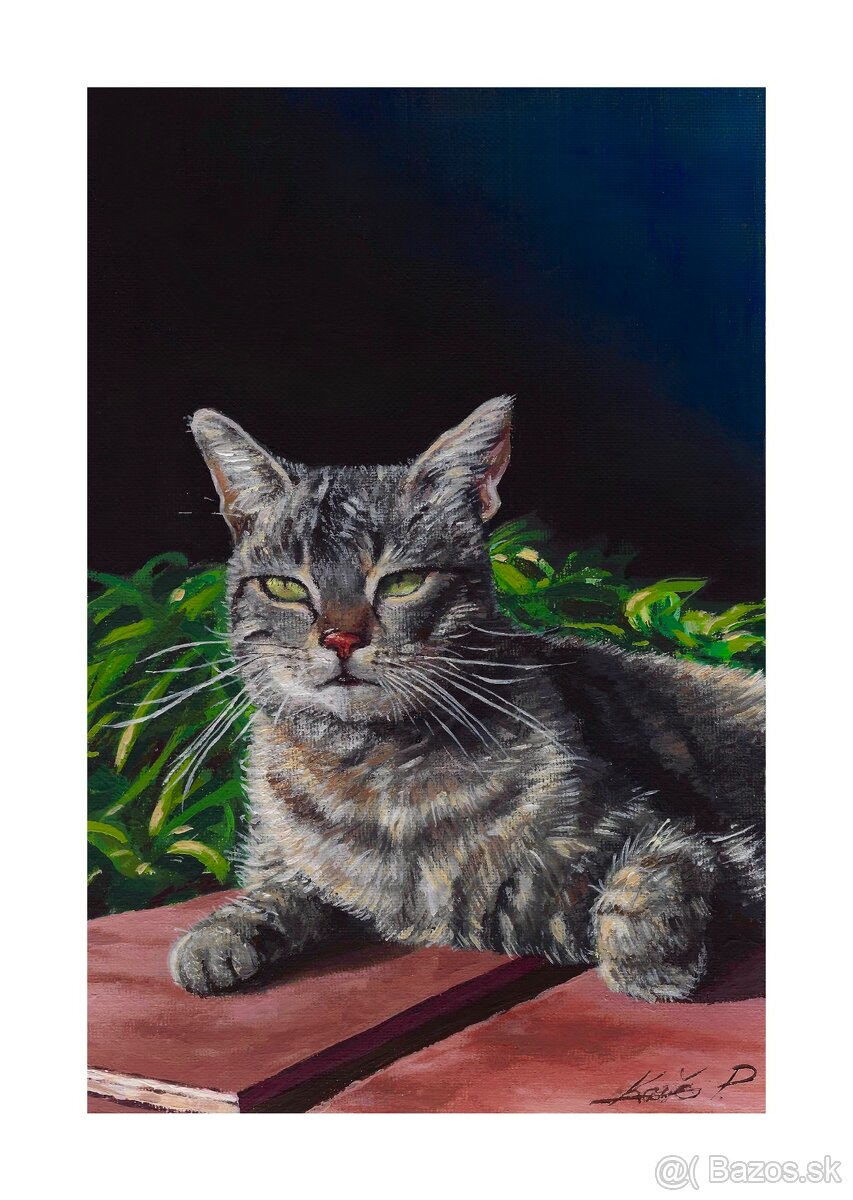 Kocúr na výslní- ART PRINT