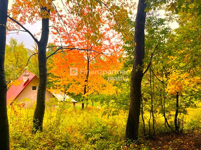 Chatárčenie pekný pozemok v nádhernej prírode na Drienici (F