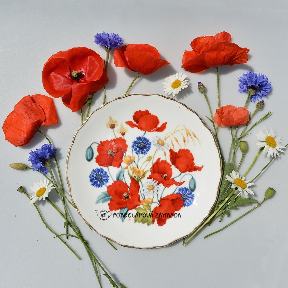 Anglický porcelánový tanier - Divoké maky, nevädza