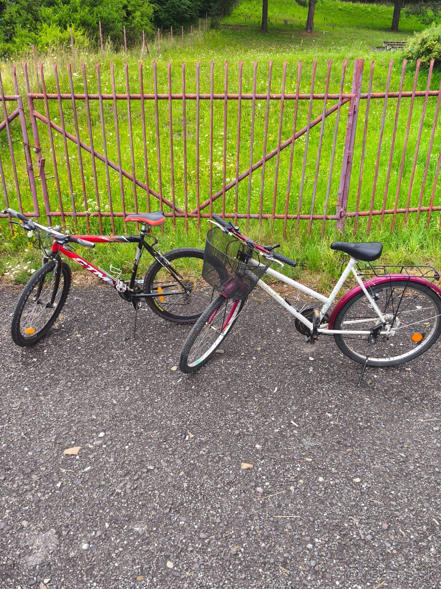Pánsky, dámsky bicykel