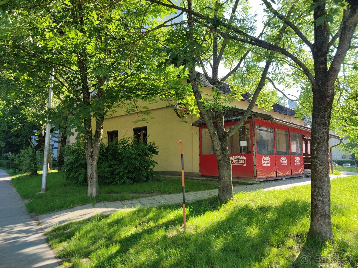 Podnikajte vo svojom: predaj zrekonštruovaný objekt Sásova