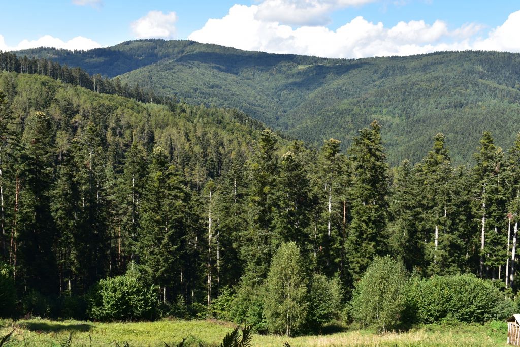 Smižany – 5.546 m2 LESOV (Urbáru)