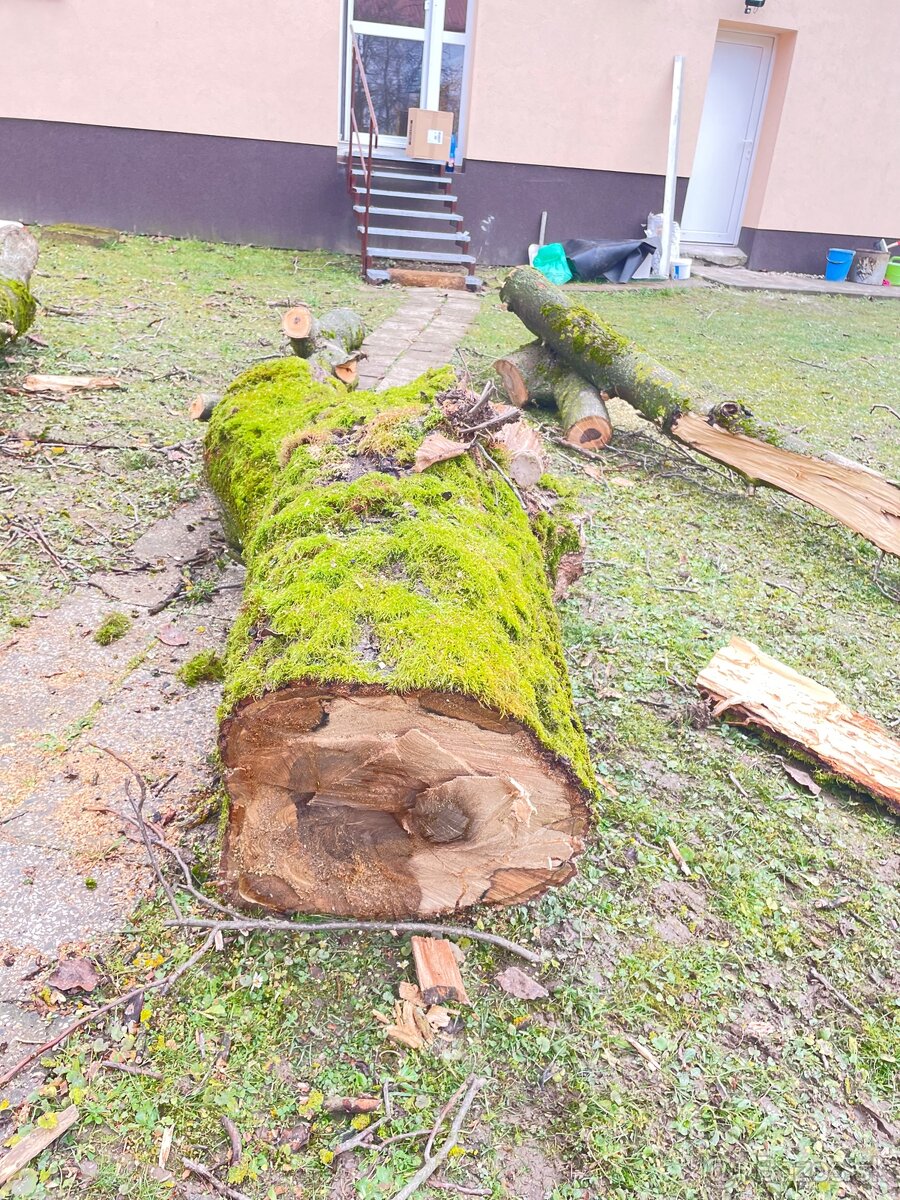 Predám orechové drevo