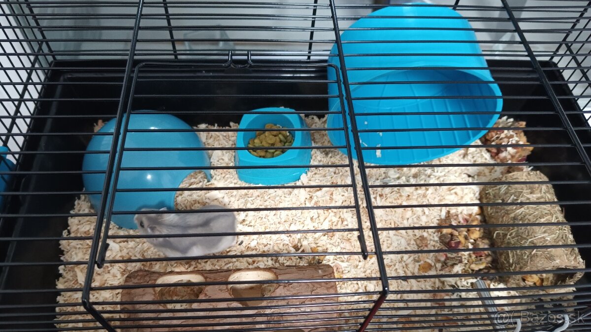 ZĽAVA Predám klietku s výbavou pre škrečka