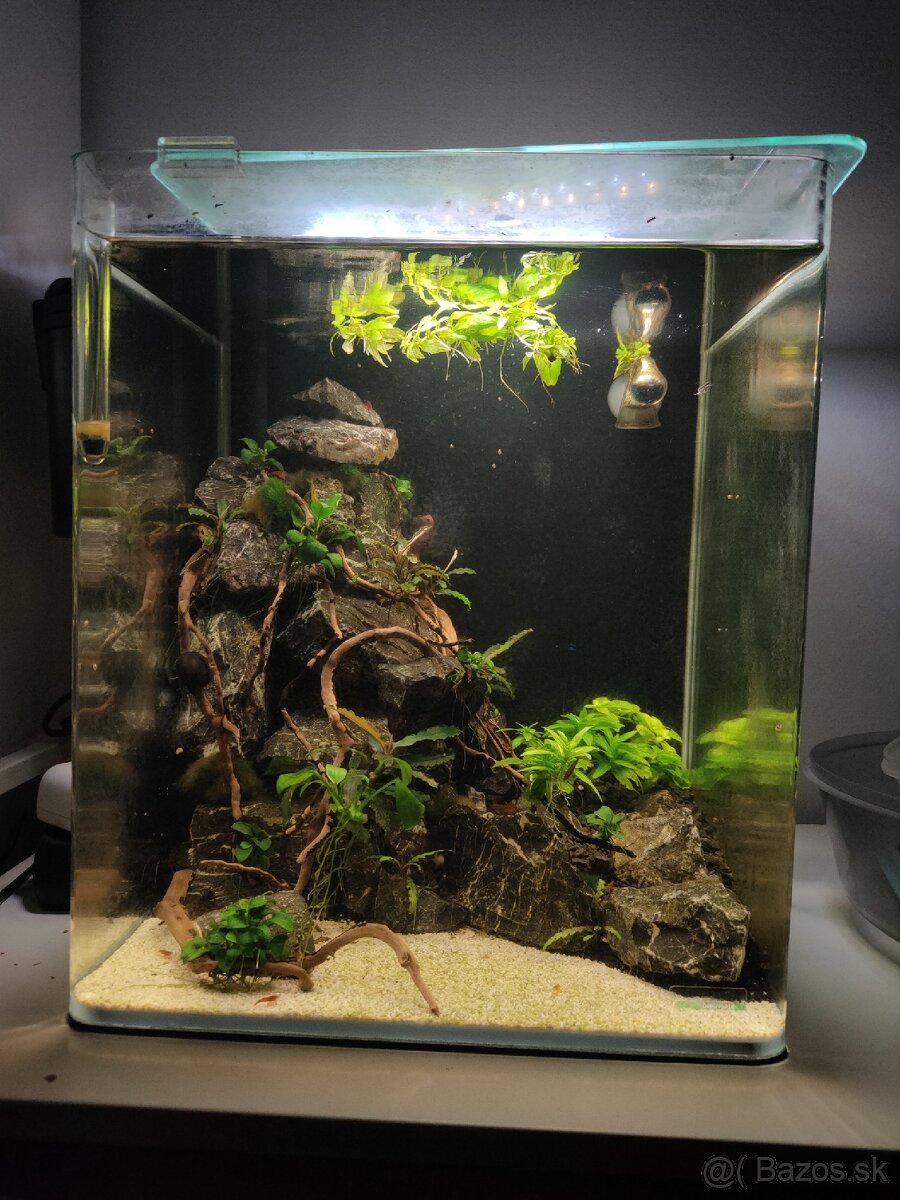 Nano akvárium 30l