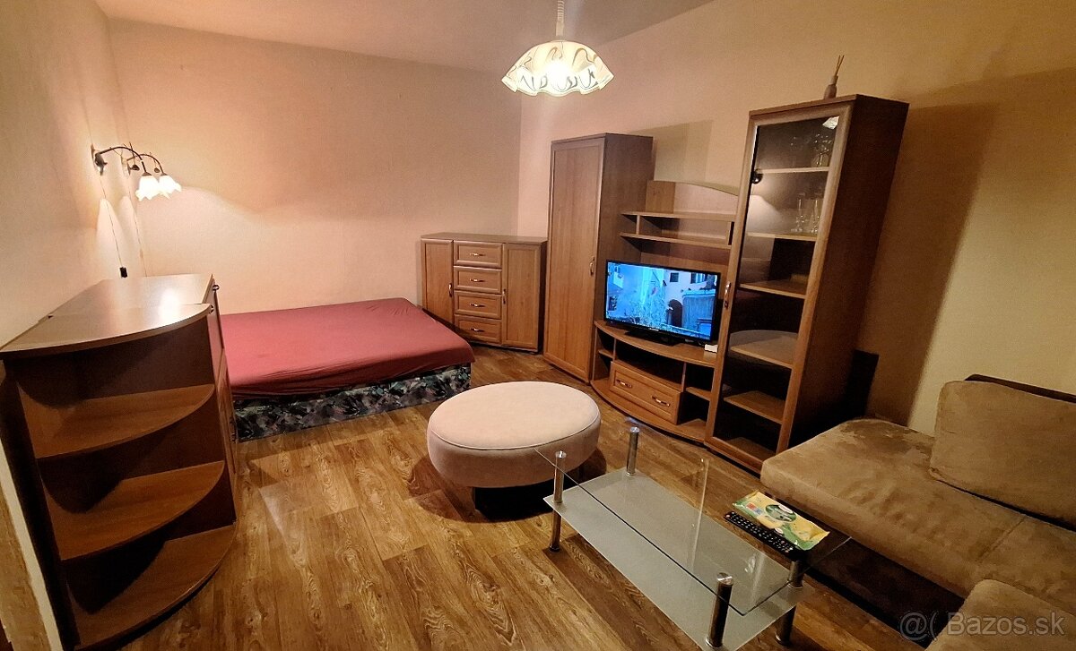 Veľký 1 izbový byt na Záhonku
