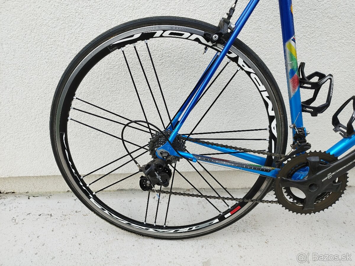 Campagnolo shamal ultra
