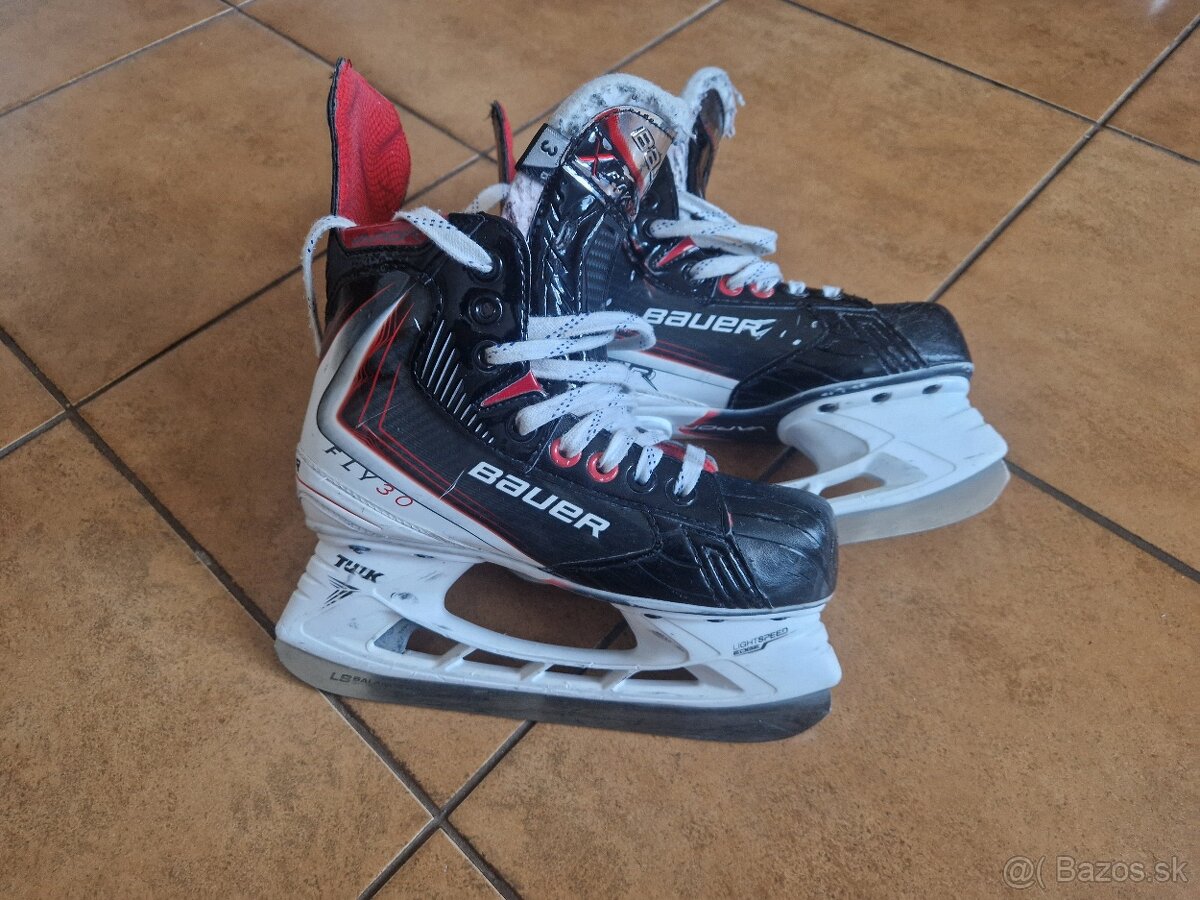 Korcule Bauer fly 30, 3D