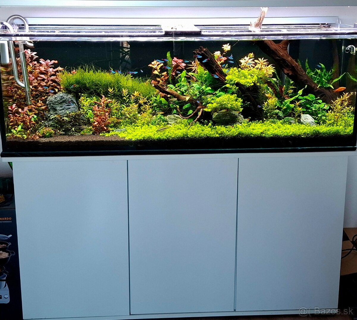 Predam akvarium
