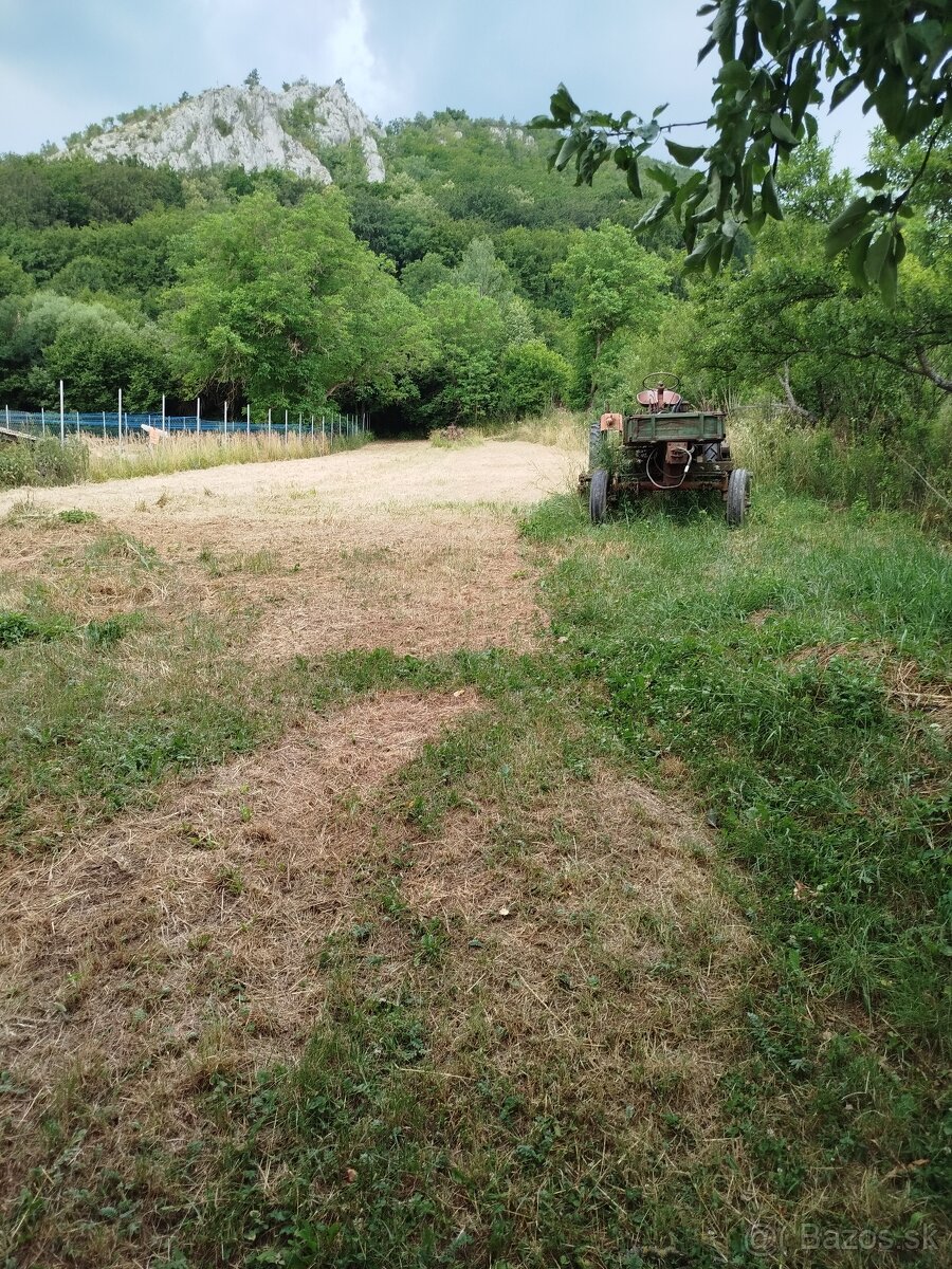Záhrada