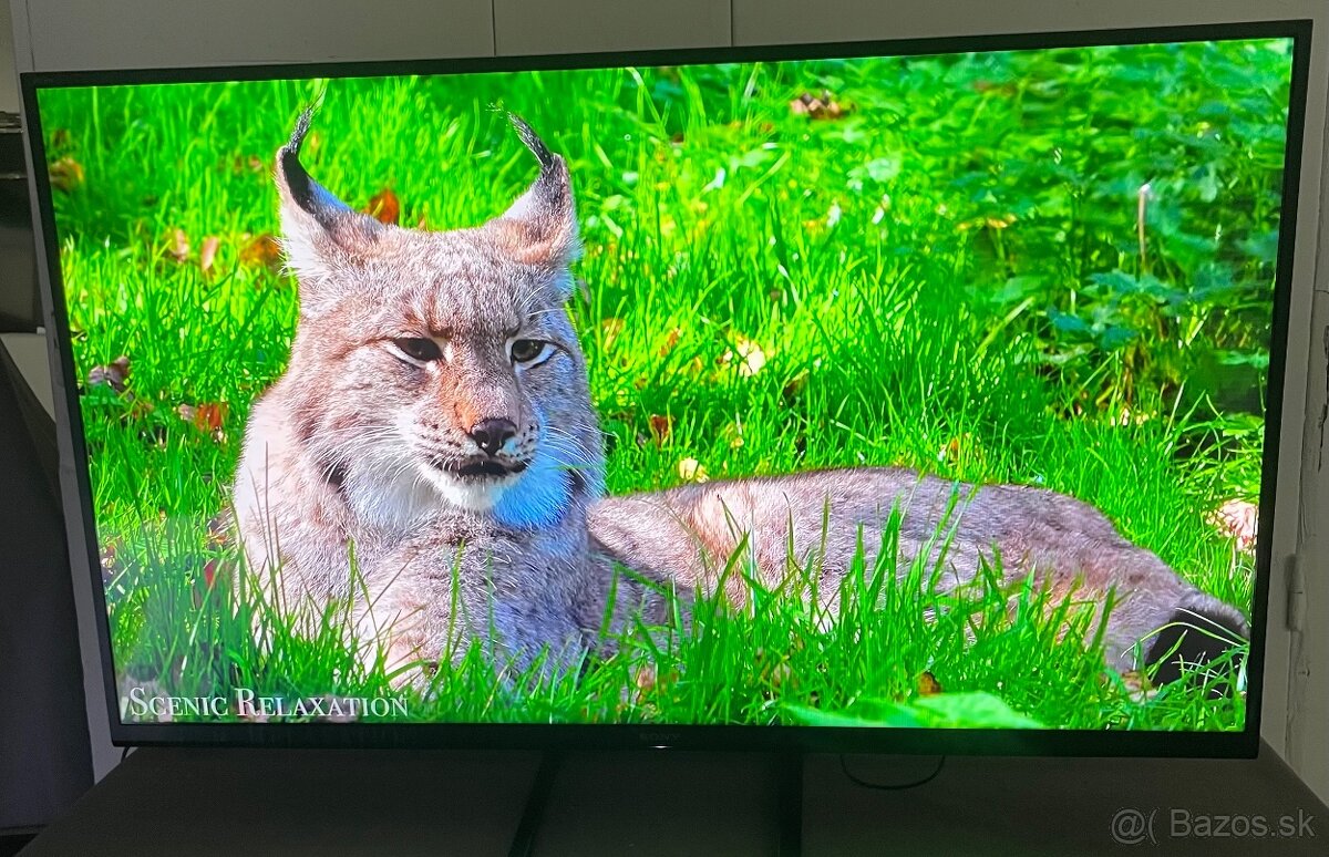 SMART TV Sony Bravia KDL-49WE665-123cm