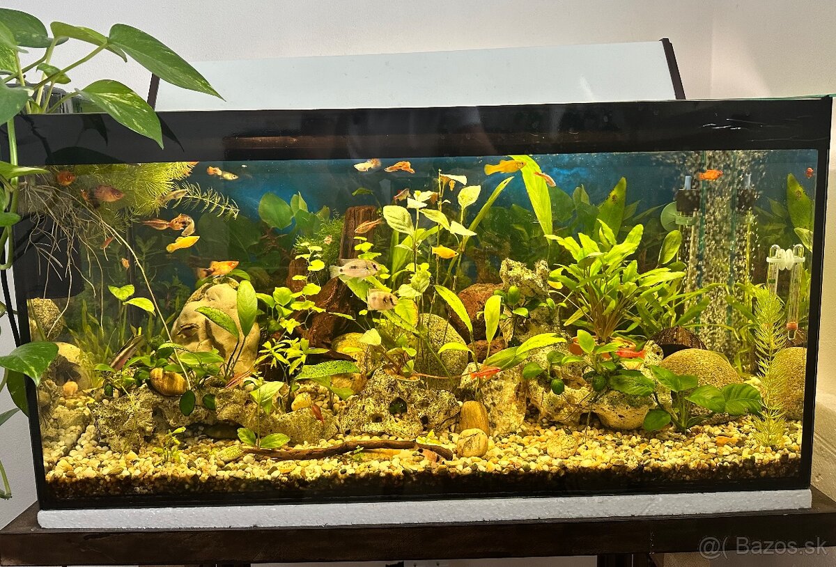 Predám 100L akvárium