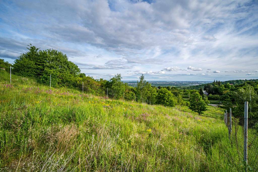 TOREA -  POZEMOK NA PREDAJ - 2905 m2 - SVÄTÝ JUR, OKRES PEZI
