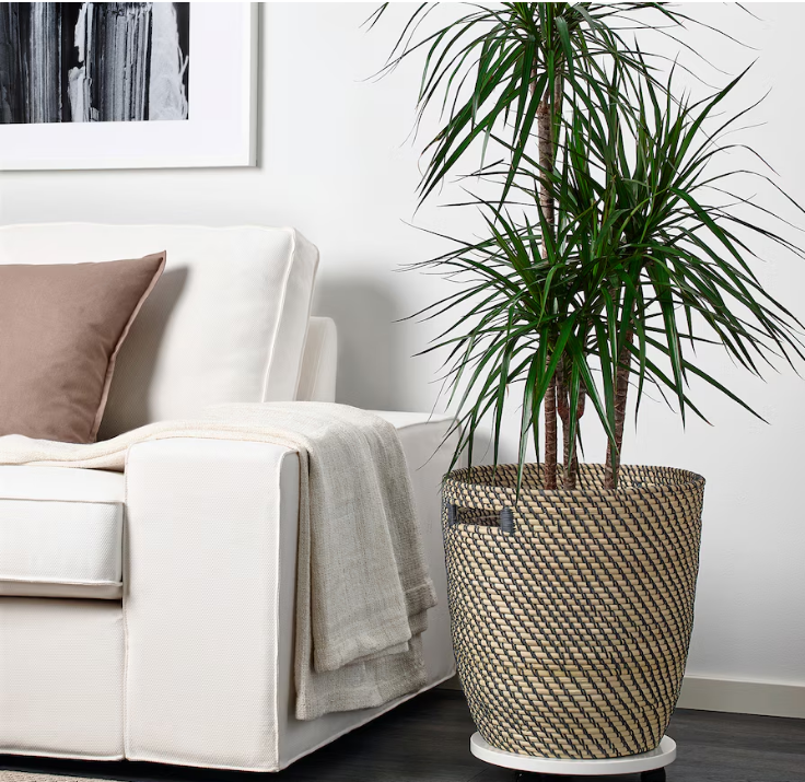 RÅGKORN, veľký kvetináč IKEA