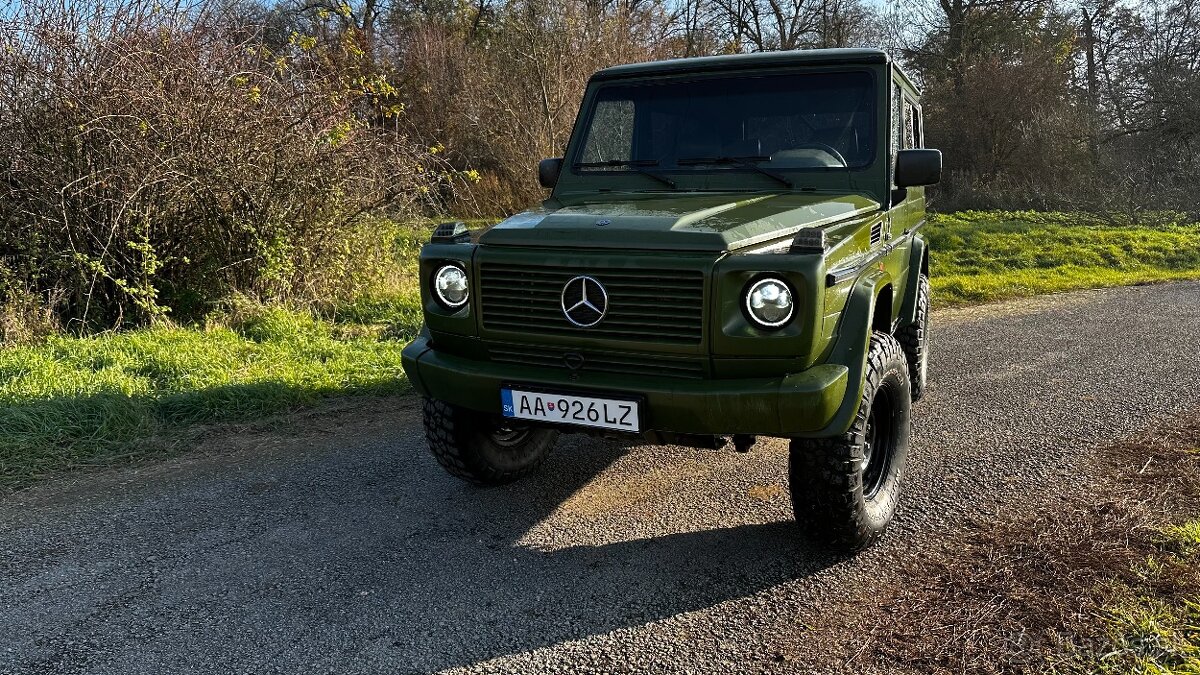 Mercedes g 300d w463