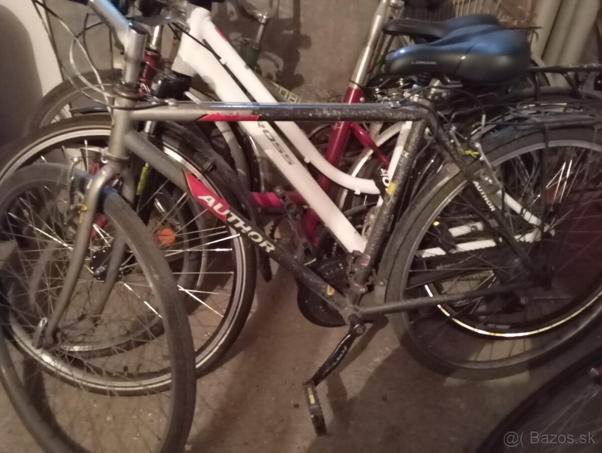 Bicykel Author