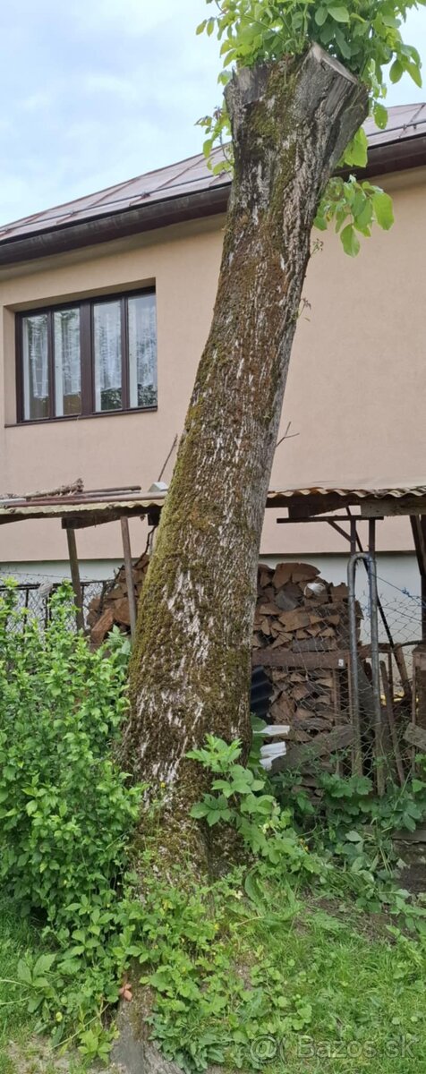 Orechové drevo