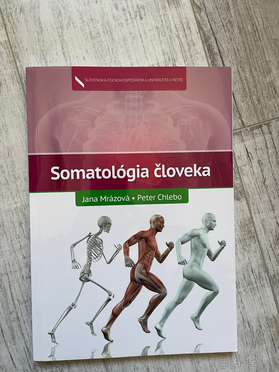 Somatológia človeka pre vysoké školy