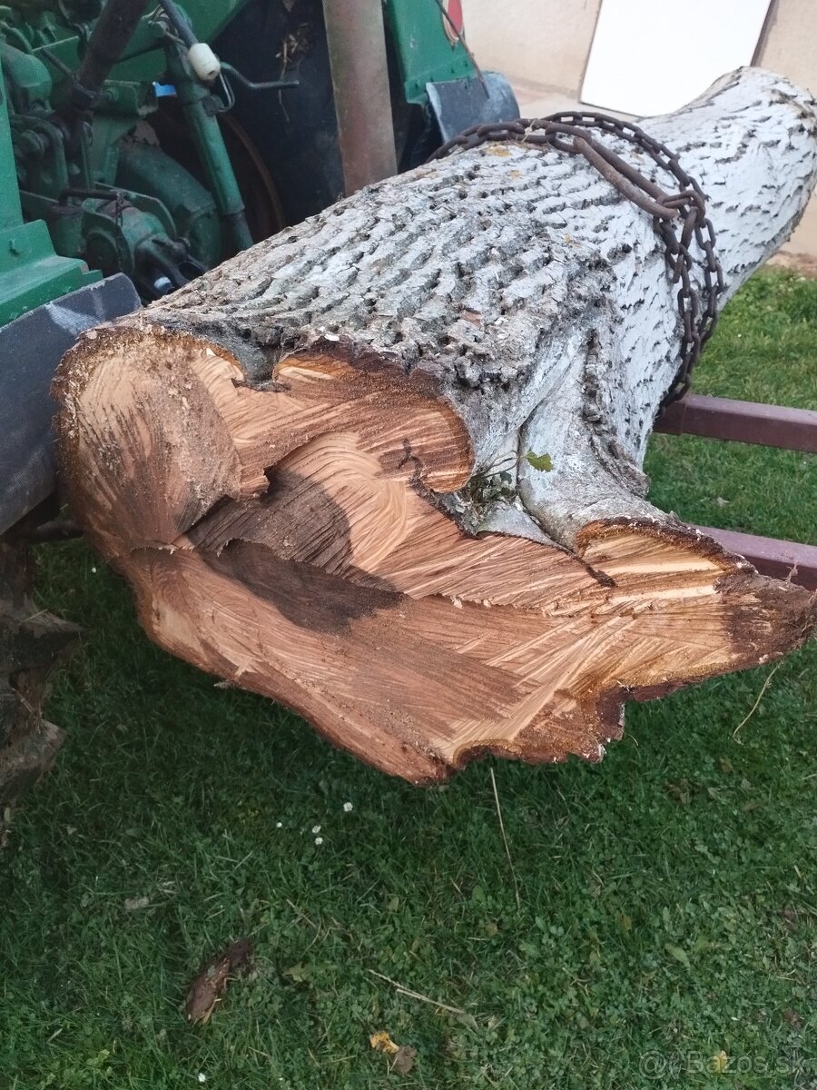 Predám kmeň orecha